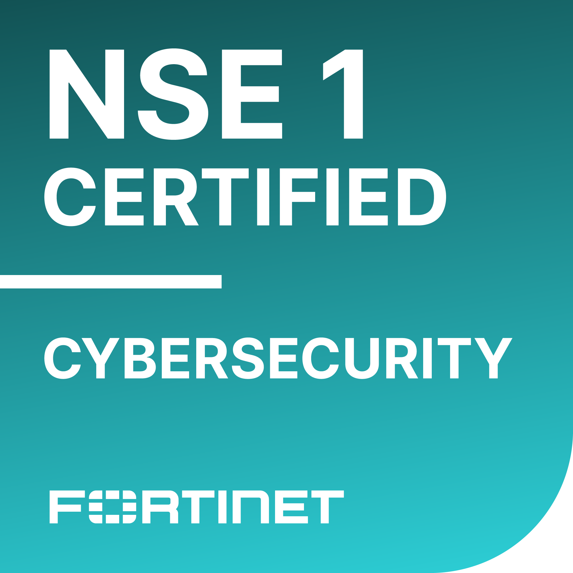Fortinet-NSE1